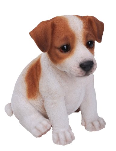 Vivid Arts - Figura decorativa de Jack Russell terrier