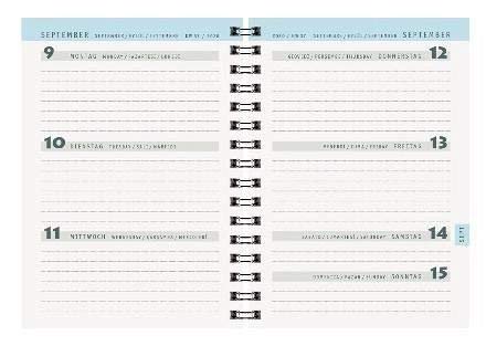 Télécharger Taschenkalender 2020 Nr. 638-1140 Francais PDF