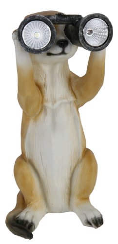 Erdmännchen mit Solar Fernglas Laterne Figur Licht TOP Gartenfigur