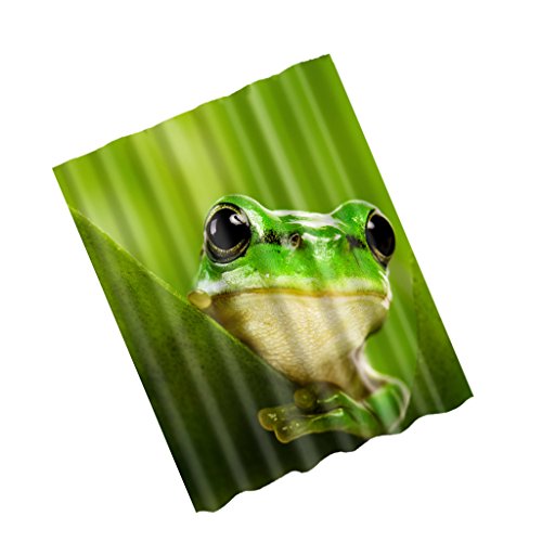 Generic 180 x 180cm Polyester Wasserdicht Duschvorhang für Dusche und Badewanne Badezimmer Platte mit 12 Haken Dekor – Frosch , 180cm x 180cm - 3