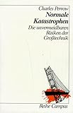 Normale Katastrophen: Die unvermeidbaren Risiken der Großtechnik (Reihe Campus) by
