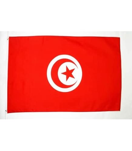 Drapeau De L'Égypte Sur Hampe En Bois - 30x45 Cm, Polyester Résistant Pour Intérieur/extérieur - 3