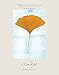 Produktbild Ginkgo: The Tree That Time Forgot