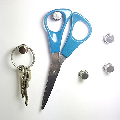 10 hochwertige Magic☇Magnets Edelstahl N42 Neodym Fridge Push Pins sehr starke Pinnwand Magnete Ø12mm,16mm hoch mit sehr starkem Neodymkern - 4