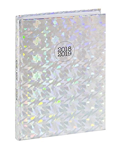 Télécharger Exacompta - 1 Agenda Scolaire Journalier - Holographik - Août 2018 à Juillet 2019 - 12x17cm - Visuels Aléatoires gratuit