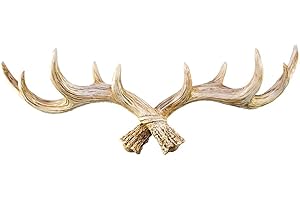 ‎HANSMEIER Hansmeier Geweih Kleiderhaken Garderobenhaken - Vintage - Für Außen, Innen, Balkon & Garten - 49 cm - Hirschgeweih - Garderobe - Hohe Tragkraft