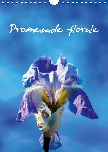 Promenade florale 2019: Des fleurs, tout au long de l'annee. gratuit Promenade florale 2019: Des fleurs, tout au long de l'annee. gratuit