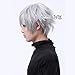 Short Grey Men Boy Stylish Anime Cosplay Wig+Free Wig Cap