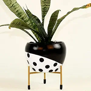HINS Black And White Dot Metal Round Shape Flower Plant Pot For Indoor Plants Metal Pots For Indoor Plants I Elevated Garden Planter I Raised Planter I Desk Plant I Raised Planter Box I Ascent Homes Metal Planter I Raised Planter Box With Legs I Brass Pots For Indoor Plants I Golden Planter I Mid Century Plant Stand I Brass Planters For Indoor Plants I Indoor Plant Stand For Living Room I Metal Planters Pot For Indoor Plants designer pots for indoor plants