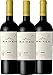 Produktbild 3er Vorteilspaket Malbec 2017 - Viña Kaiken | trockener Rotwein | argentinischer Rotwein aus Mendoza | 3 x 0,75 Liter