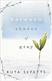 Between Shades Of Gray by