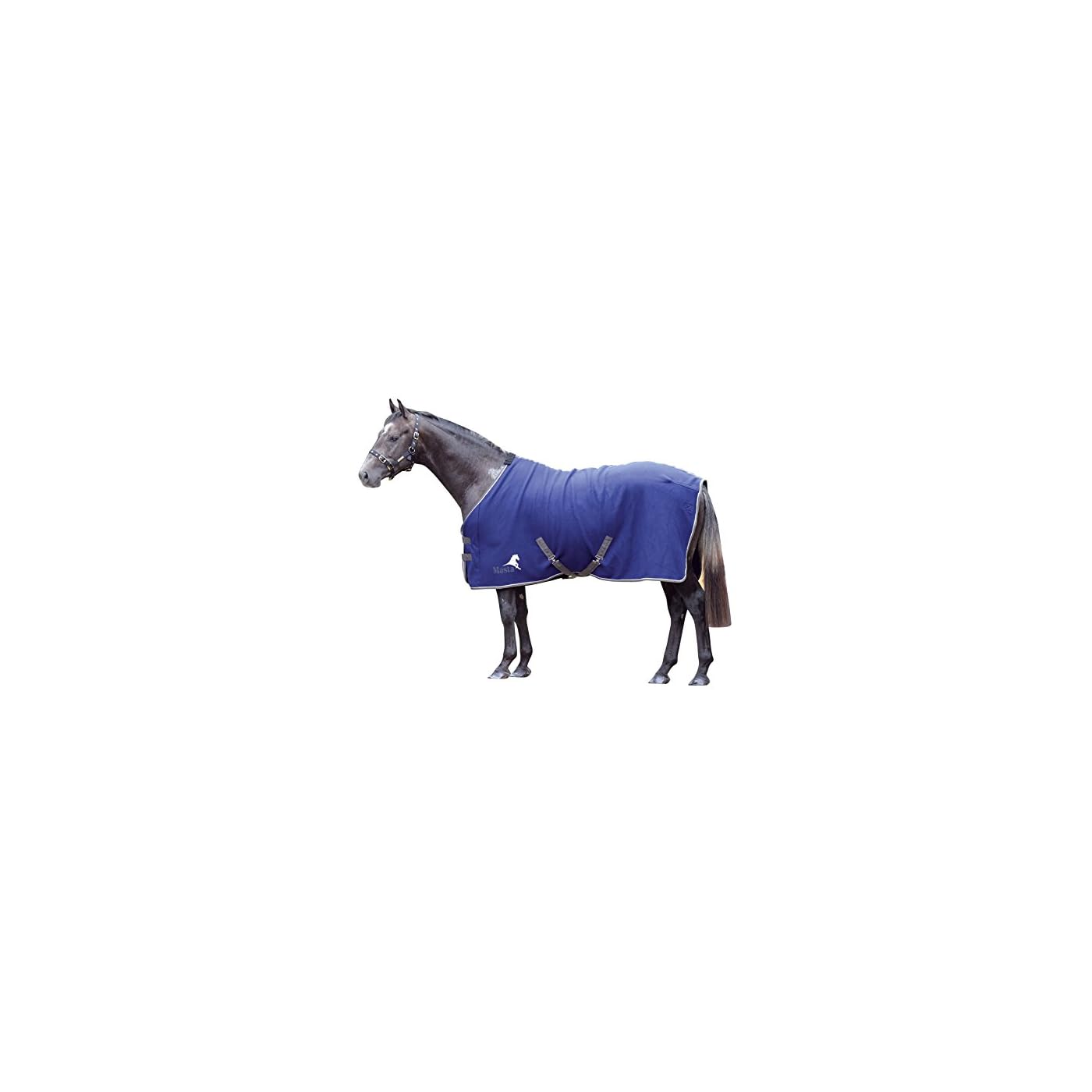 Horse ‘n’ Pony