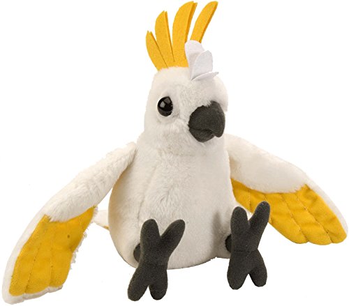 Lashuma Plüschtier cuddlekins Peluche Blanco Amarillo hauben Cacatúa, Peluche Papagayo Aprox. 20 cm