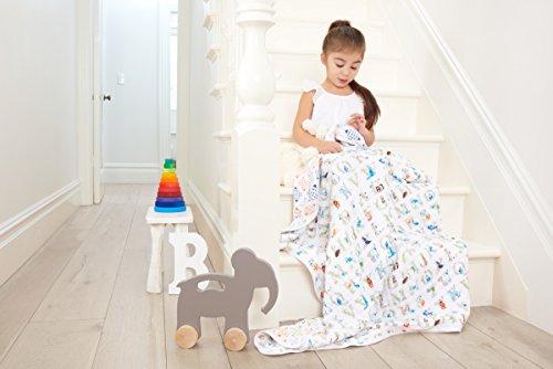 aden + anais 6052G Classic Dream Blanket Paper Tales - 3