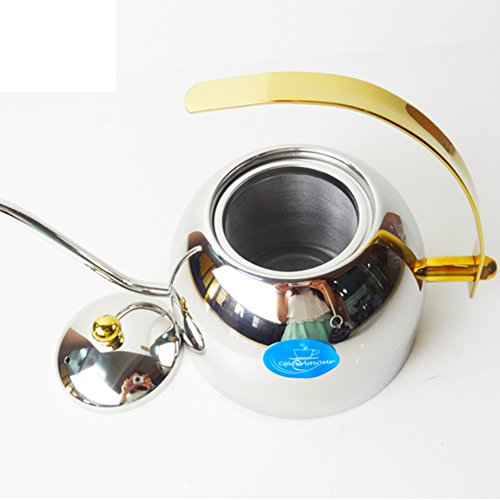 spécification CDSHFVFDG acier inoxydable Style européen Petit pot Argenté café pot