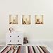 3D Illusion Niches for Baby - Repositionable and Removable Textile Wall Stickers Mural Decals Art Decoration for Childrens Bedroom Kids Nursery Extra Durable Home Decor Highly Detailed Illustrations