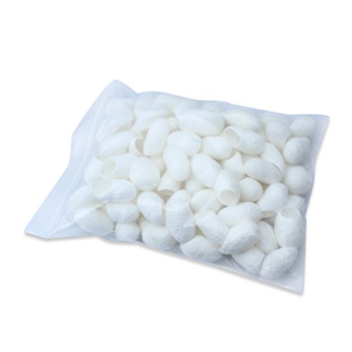 Edealing 100PCS New Organic Natural Whitening Seidenkokons Seidenraupe Balls Gesichtshaut - 5