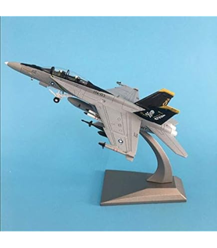 Buy F-18 Gray Hornet Model Kit Skull and Crossbones Logo Kids