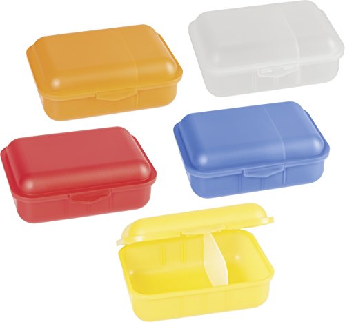 Brunnen 1036650 Brotdose / Allzweckdose (18 x 13 x 6,5 cm, transparent aus PP, spülmaschinengeeignet) 1 Stück - keine Farbauswahl