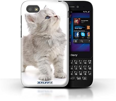 STUFF4 Phone Case / Cover for Blackberry Q5 / Looking Up Design / Cute Kittens Collection