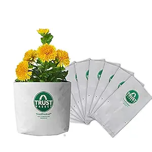 TrustBasket UV Stabilized Long Life Large Poly Grow Bags for Balcony & Terrace Gardening -10 Qty. [20cms(L)X20cms(W)X35cms(H)]| Home Gardening Plant Container bag for Leafy Vegetable and Flower Plants