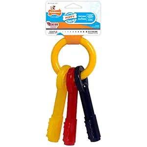 Nylabone Just for Puppies Medium Key Ring Bone Puppy Dog Teething Chew Toy