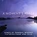 Produktbild Moment's Peace 1 by Great Worship Songs Players