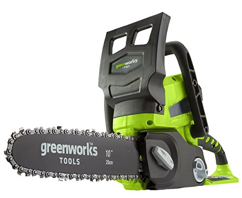 Greenworks Motosierra inalámbrica de 25cm y 24V Li-Ion (sin batería 