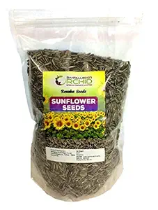 RENUKA SEEDS Sunflower Seeds Bird Food 900 Grams - for All Birds