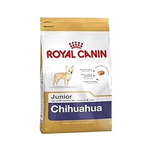 Crocchette Royal Canin Chihuahua Junior