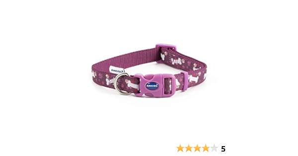 fi collar amazon