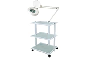 Quixx Arbeitswagen Beauty Kosmetikwagen Beistellwagen mit integrierter Lupenlampe, 5 D, Weiß, Aluminium, Metall, Kunststoff