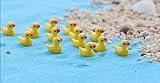 Coloca estos mini patos en el jardín de la decoración para agregar más alegría a la vida.