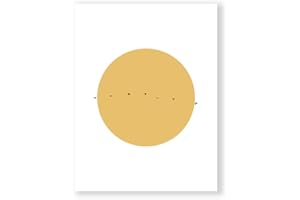 MILUKA Laminas Decorativas Pared - Laminas para Cuadros Decoracion Pared | Cuadros Decoracion Salon Modernos, Cuadros Decoracion Dormitorios | Póster Sol | Lámina 30x40cm | Air Wave Birdst | sin Marco