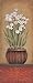 Produktbild Leinwand Paperwhites I – Mini Cool Holz Eiche Modern Classic Vase Blume Langlebig rot Daisy 08 x 20