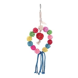 Riuty Colgante del Loro Columpio, Columpio Loro Columpio de Ave Juguetes Juguete del Loro Juguete de Ave Colgante del Columpio del Juguete Adecuado para Loros y pájaros