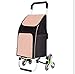 Produktbild FFJTS Einkaufswagen-Tuch-Aluminiumlegierungs-kleiner Wagen-faltende Treppe , C