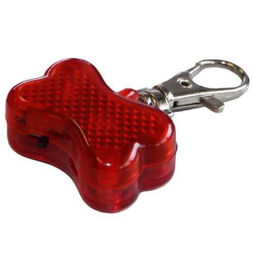 Holland Cuidado de los Animales Noche luz Hueso