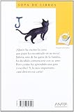 Image de La gata que aprendió a escribir (Literatura Infantil (6-11 Años) - Sopa De Libros)