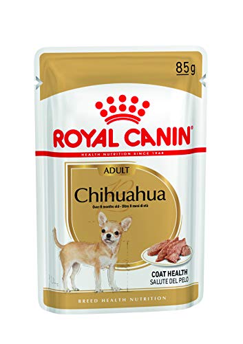 royal canin chihuahua adult 3kg
