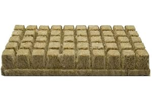 HTYG 50pcs Rockwool Cubes Hydroponics, para Cultivo hidropónico de Semillas de propagación de Semillas de Roca hidropónica, el Crecimiento vigoroso de Las Plantas (25×25×40mm)