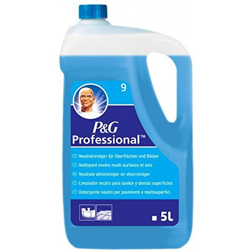 Preisvergleich Produktbild PG Professional 9.2 Meister Proper phneutraler Reiniger