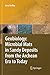Geobiology: Microbial Mats in Sandy Deposits from the Archean Era to Today by 