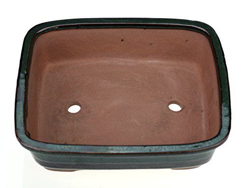 Bonsaischale Rechteckig mit abgerundeten Ecken Grün Glasiert (L 24,8cm x B 21,5cm x H 7cm) - 2