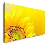 Unsere Leinwand-Rahmen sind aus echtem Kiefern- oder Fichtenholz und haben standardmäßig eine Tiefe von knapp 22 mm. Unserer ökologischen Verantwortung sind wir uns stets bewusst, verwenden nachwachsende Rohstoffe sowie lösungsmittelfreie Tinten und achten darauf, dass der im Onlinehandel leider nicht ganz vermeidbare Verpackungsmüll etc. so minimal wie möglich ausfällt.