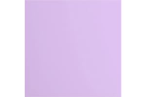 VAESSEN CREATIVE Florence Cardstock-Lote de 20 Cuadrados, 216 Gramos/m², 30,5 x 30,5 cm, Lisos, para álbumes de Recortes, Tarjetas, Troquelado y Otras Manualidades de Papel, Morado, 30.5 x 30.5 cm