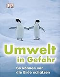 Image de Umwelt in Gefahr: So können wir die Erde schützen