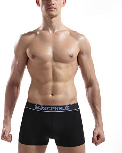 Men's Briefs Retro shorts Boxer Modal Basic Underpants Size M-XL (XL, Black)