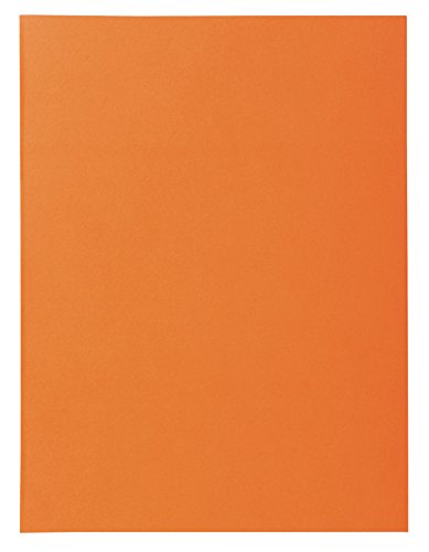 Exacompta 850000E - Lote de 250 Subcarpetas Super 60 Colores Surtidos reviews Exacompta 850000E - Lote de 250 Subcarpetas Super 60 Colores Surtidos