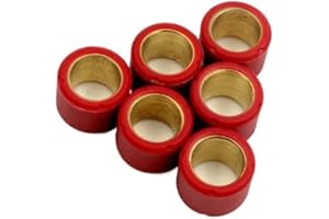 JDON-HATS Variator Roller Set 16x13mm 4g -7g For Peugeot 50 Buxy M Vivacity Speedake Speedfight 1 2 Splinter Squab TKR 50cc (Color : 16x13mm 4g)